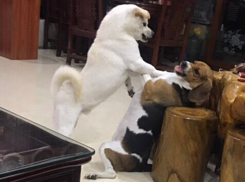 转载 | 和什么样的人相处,不会感到累?